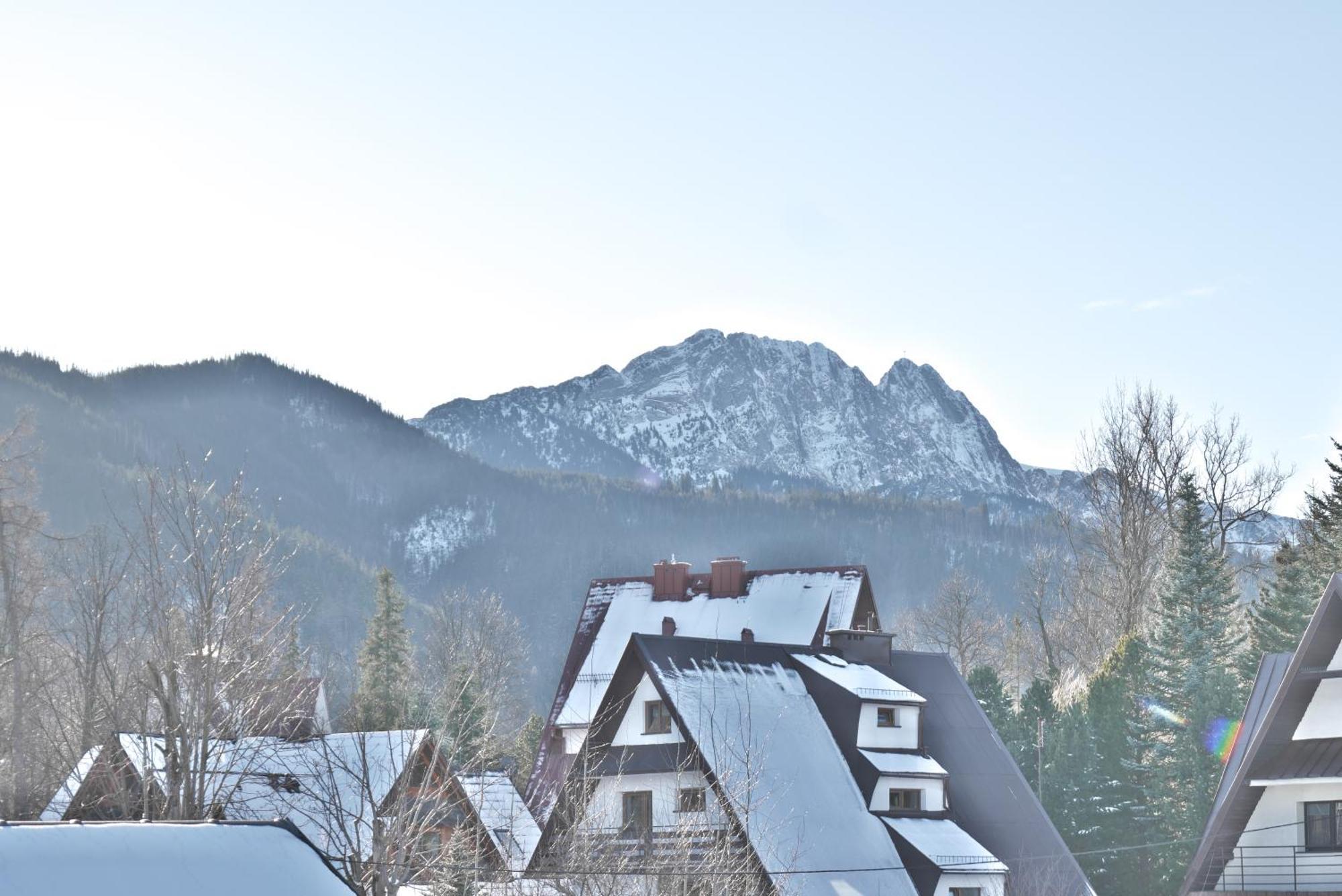 Willa Cicha Zakopane Dış mekan fotoğraf